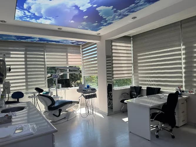 Diş Hekimi Metin Kandemir kapak