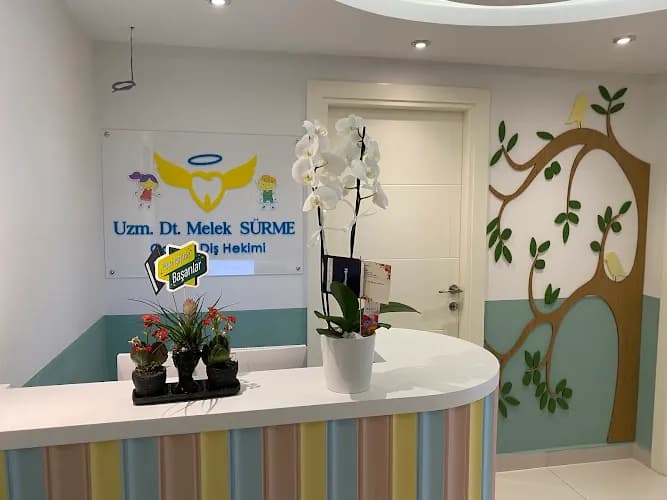 Melek Sürme Alanya Çocuk Diş Hekimi (pedodonti Uzmanı) kapak