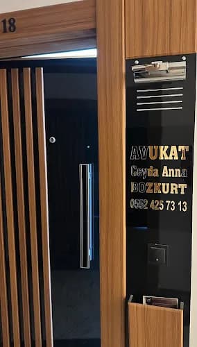 Avukat Ceyda Anna Bozkurt kapak