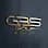 Gbs Group logo