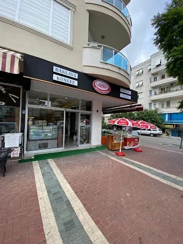 Türkmenoğlu Alaiye kapak