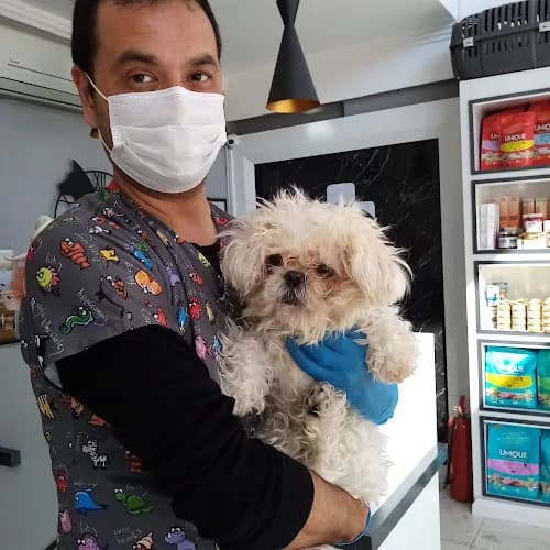 Kestel Veteriner Kliniği kapak