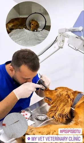 My Vet Veteriner Kliniği (since 2017) kapak