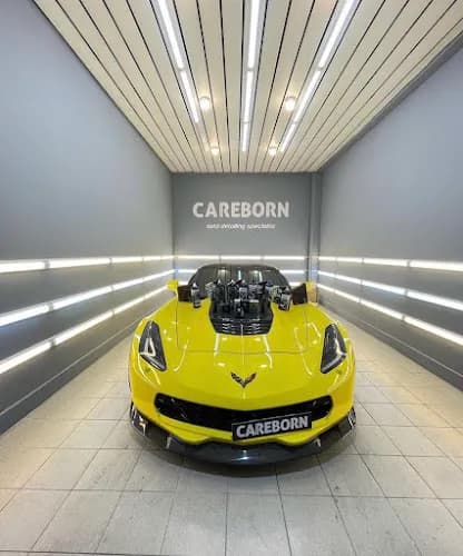 Careborn Detaılıng kapak