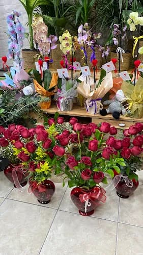 Kelebek Çiçek Alanya kapak