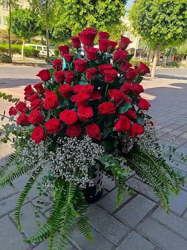 Alanya İkra Çiçekçilik kapak