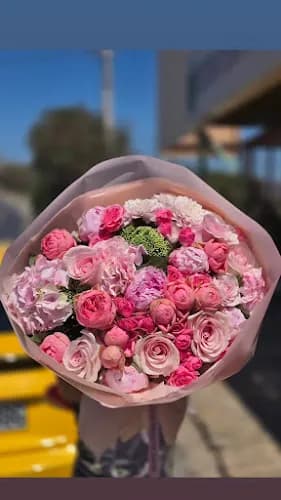 Alanya Çiçekçi kapak