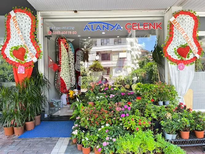 Alanya Çelenk Çiçekçilik kapak