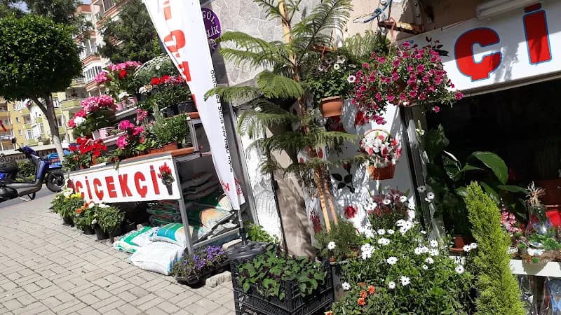 Kırmızıgül Çiçekçilik kapak