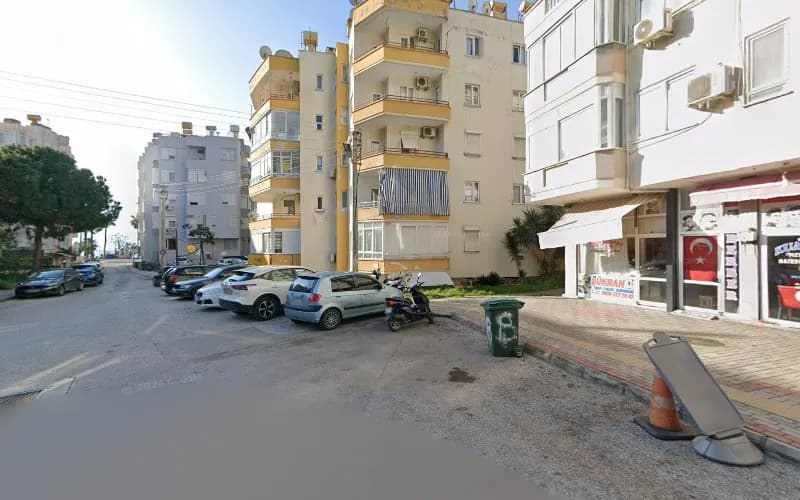 Melisa Kuru Temizleme kapak