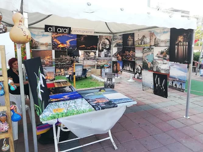 Aral Media & Art kapak