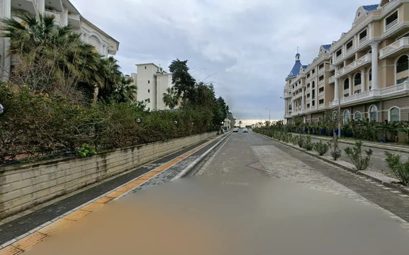 Pasha Ink Tattoo & Piercing Studio kapak