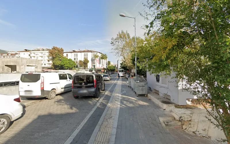 Bananas Travel Agency kapak