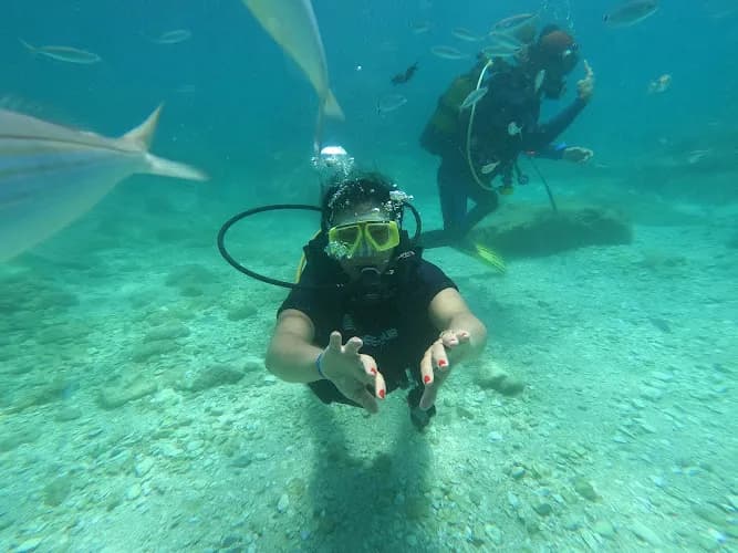 Alanya Diving Center kapak