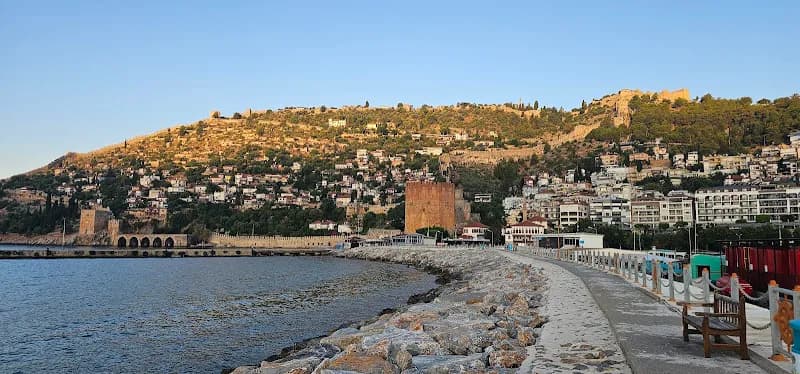 Swordlionboat-kılıçaslan Boat kapak