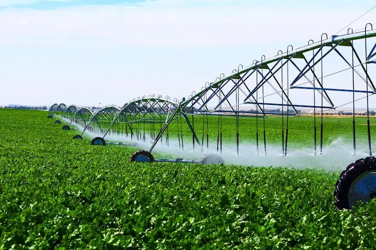 Alaiye Motor Bobinaj Sondaj kapak