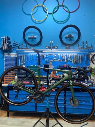 Alanya Bike Shop Alfaprobike Şeker Bisiklet Service kapak