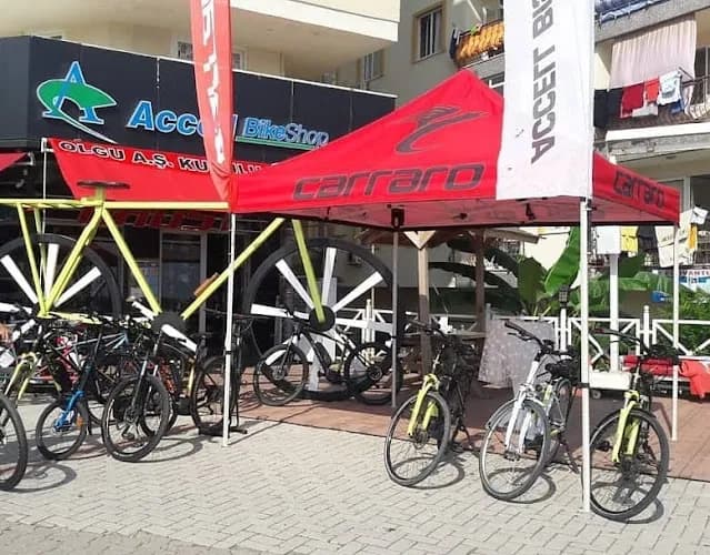 Olgu Bıkeshop Tosmur (accell Bıkeshop ) kapak