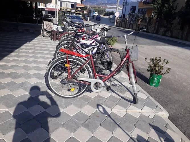 Anilgan Bisiklet kapak