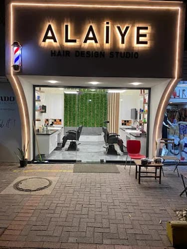 Alaiye Hair Design Studio kapak