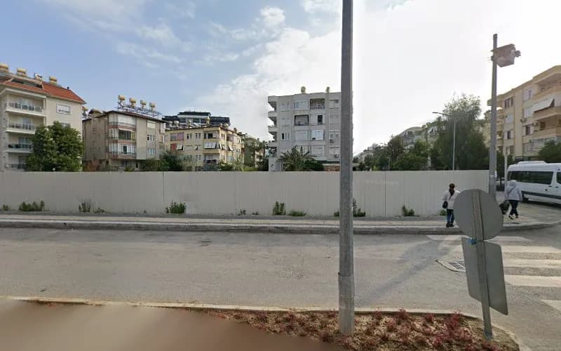 Halı Festivali kapak